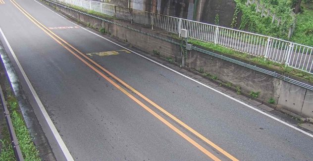 国道463号西新井地下道