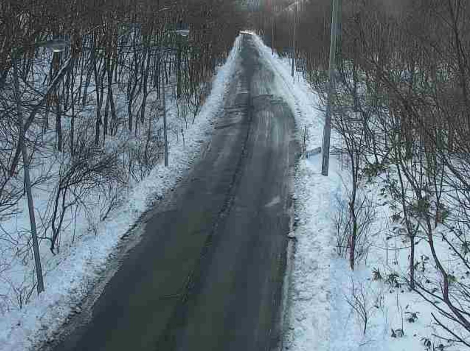 岩手県道7号大月峠