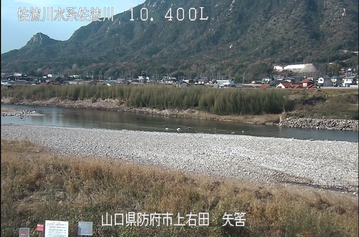 佐波川10.4K左岸矢筈