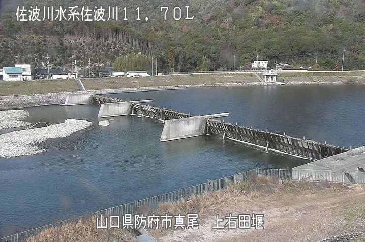 佐波川11.70K左岸