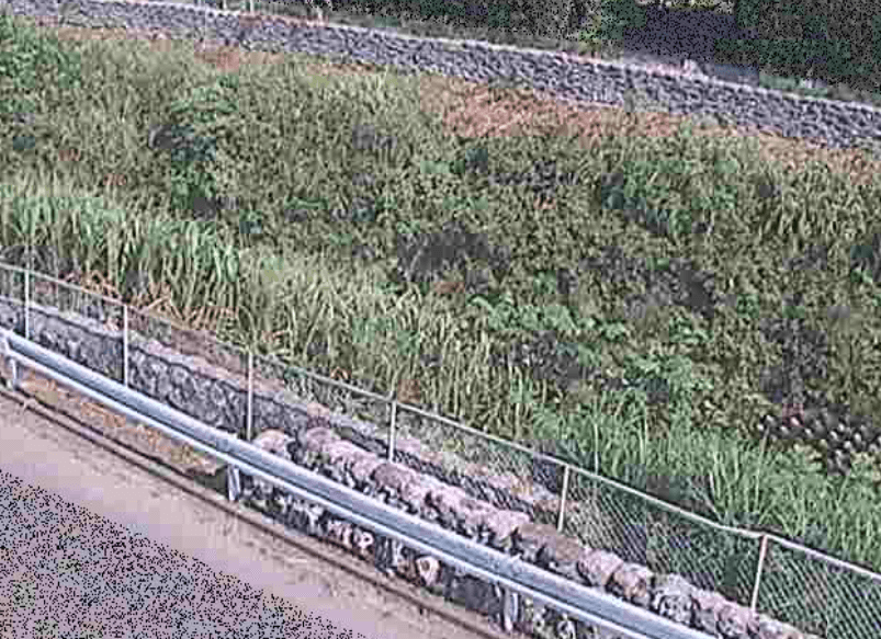 境川高橋