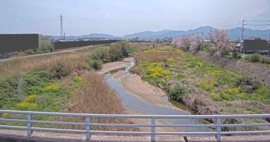 阪内川荒木橋上流側