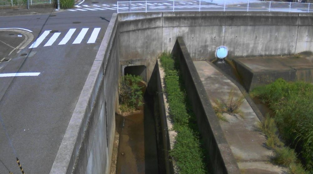 坂根川立野北