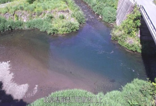 坂内川川上