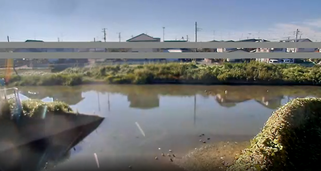 佐間水門忍川側・武蔵水路側（埼玉県行田市佐間）ライブカメラ ライブカメラJAPAN FUJIYAMA