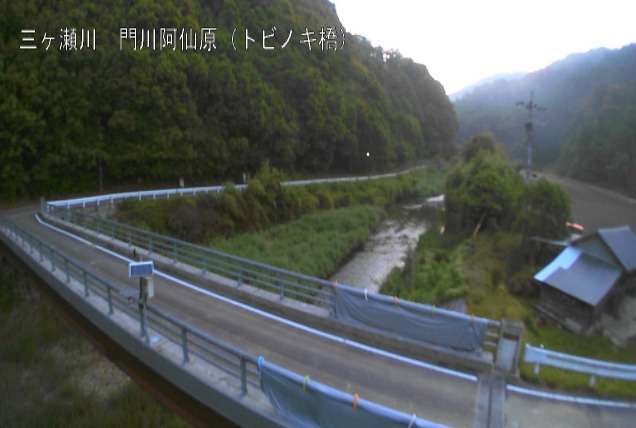 三ヶ瀬川トビノキ橋