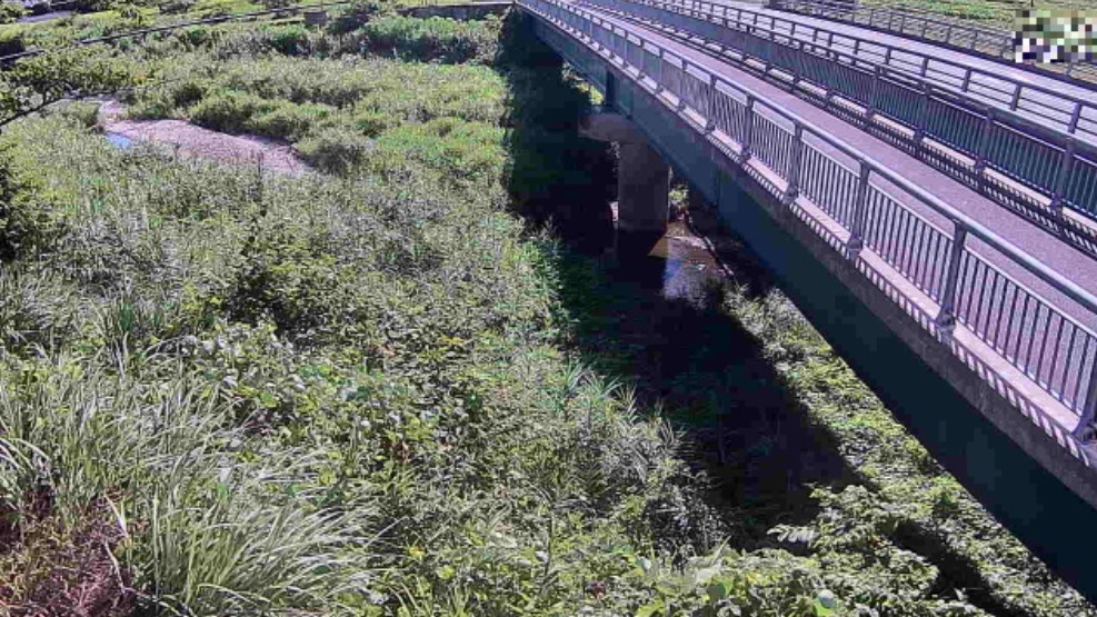 篠山川東本荘局