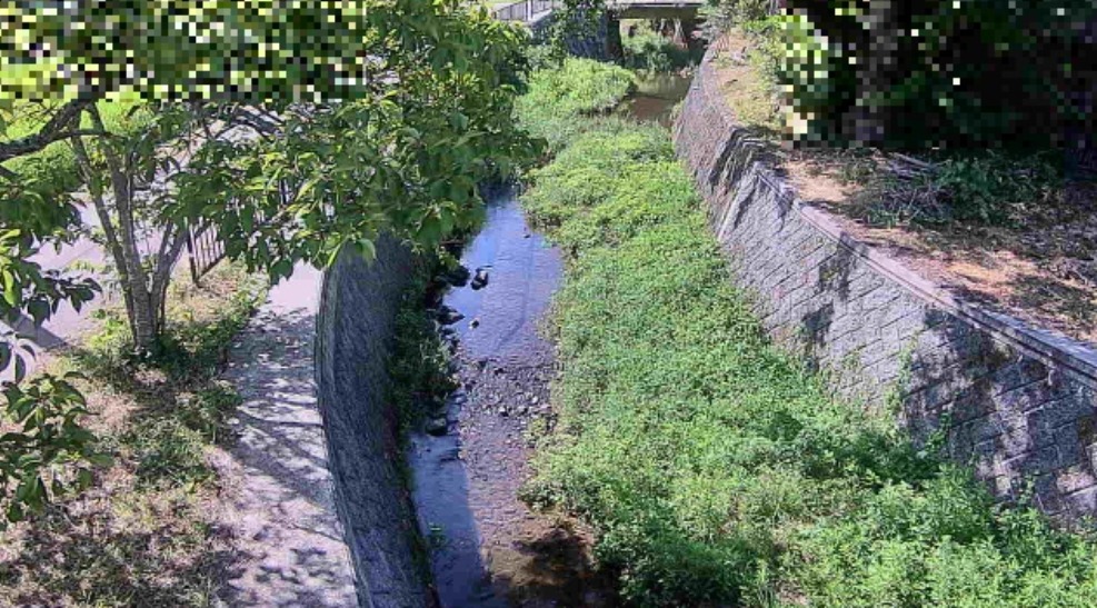 篠山川ユリ橋局