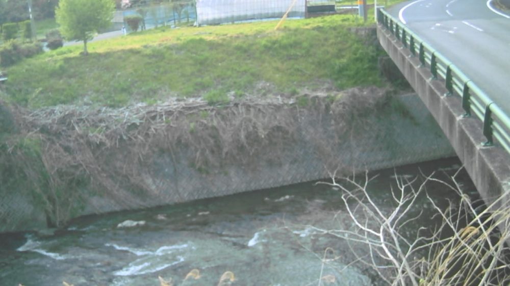 芹川桑畑橋