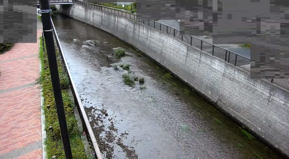 石神井川愛宕橋