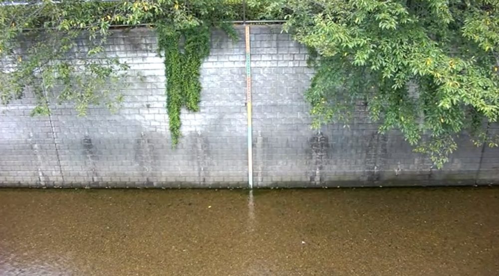 石神井川すずしろ橋