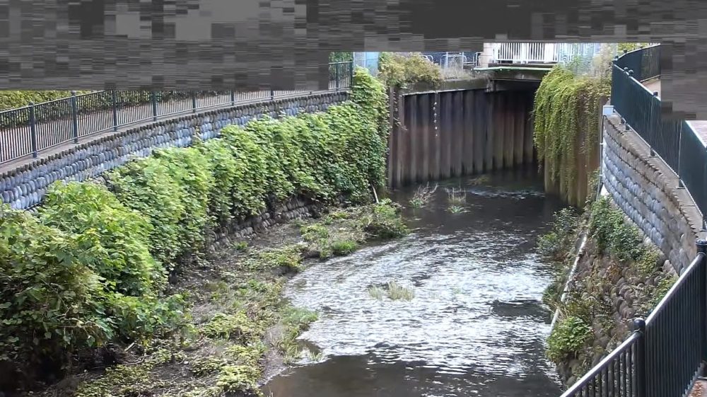 石神井川溜渕橋上流