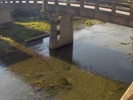 志文川大川橋