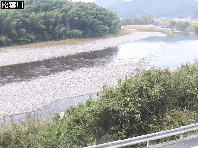 四万十川松葉川