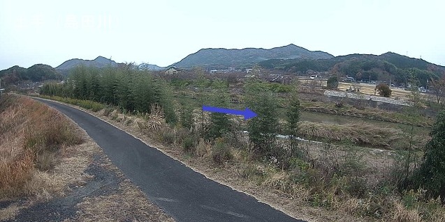 島田川土手