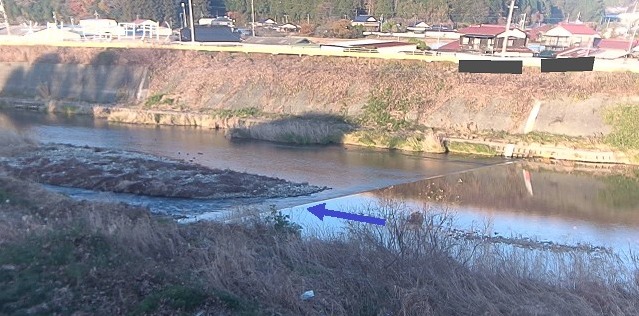 島田川米川