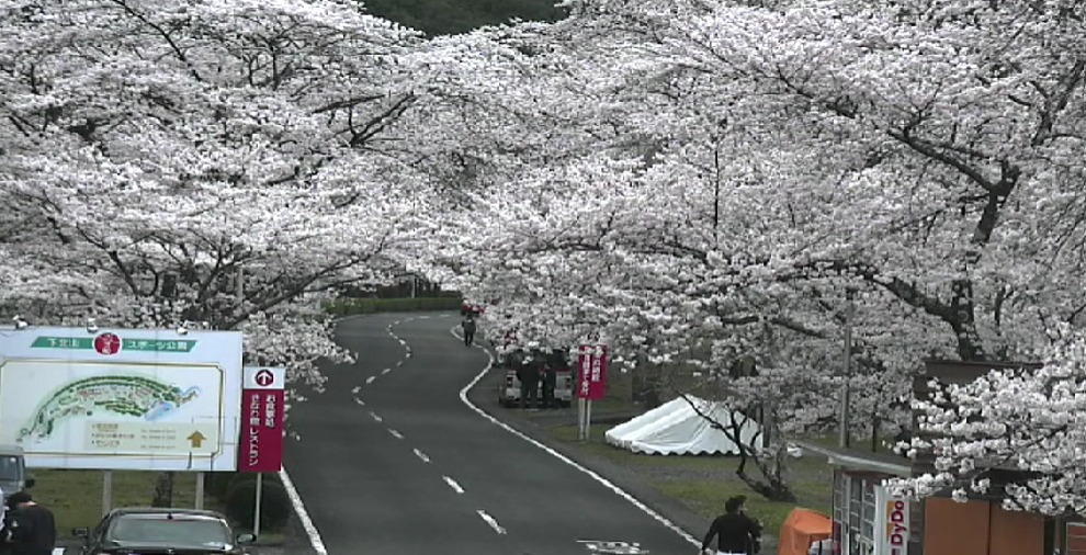 下北山村上池原