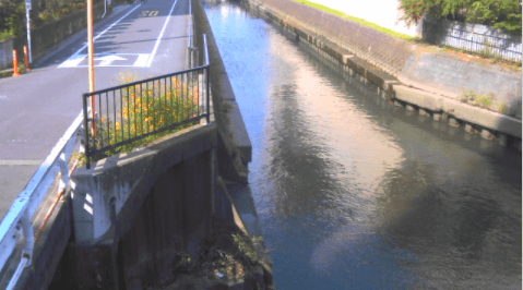 菖蒲川下前谷橋