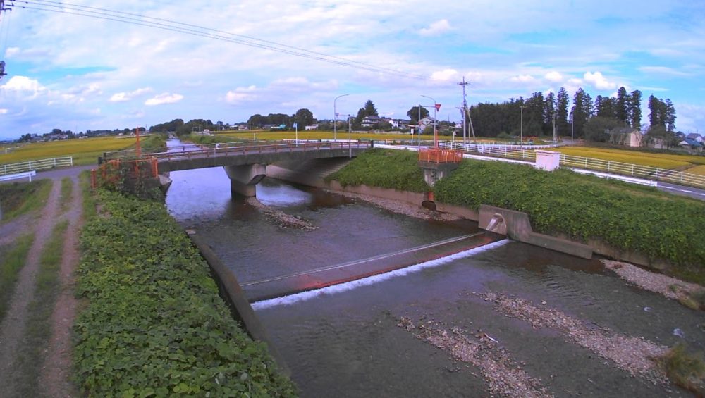 新川柳橋