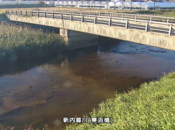 新内藤川東浜橋