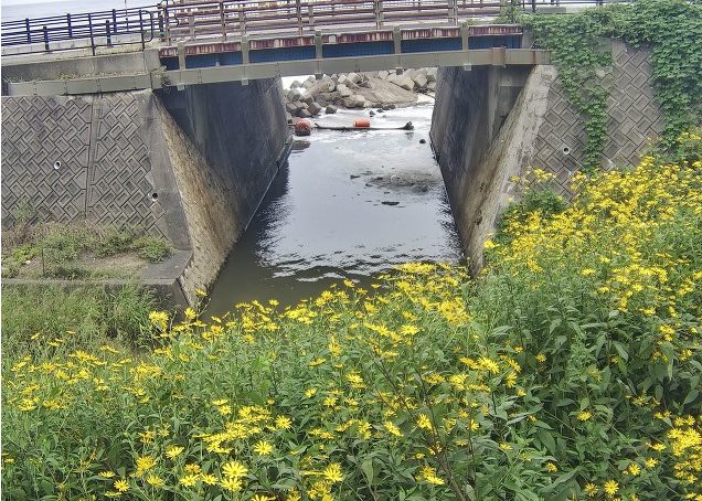 新内海川鳥取市白兎