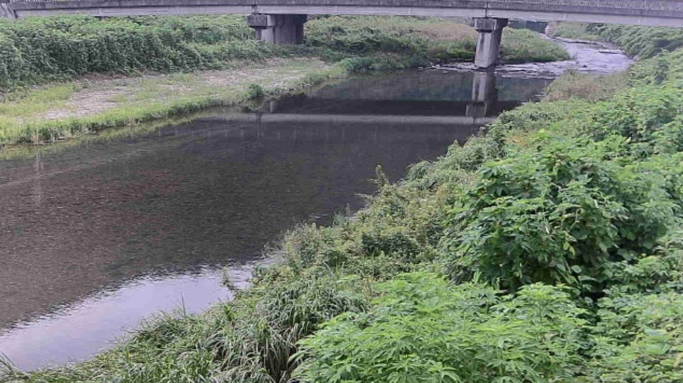 杉原川中町局