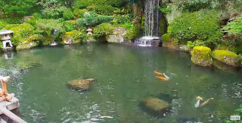 水明館日本庭園