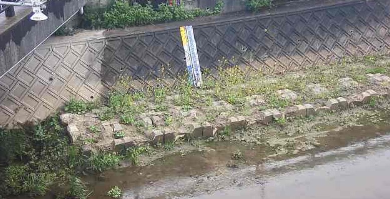 須賀川蕨橋下流左岸