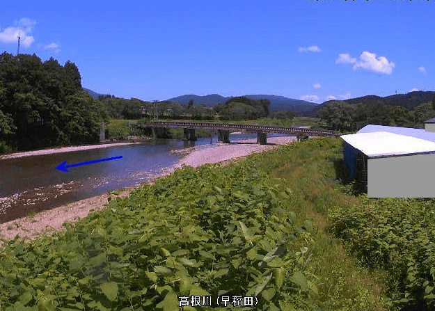 高根川早稲田