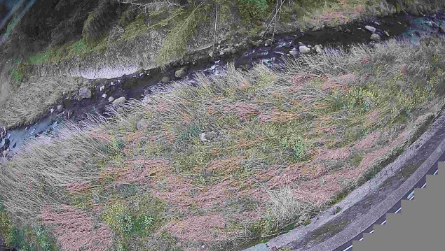 滝水川荻町南河内