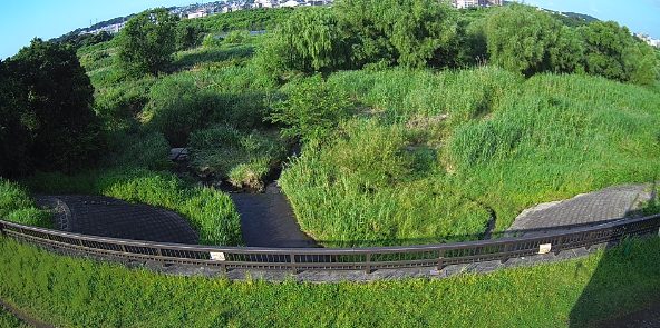 多摩川猪方排水樋管