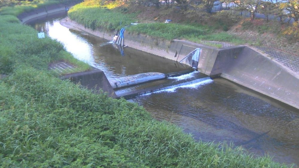 竜田川神南