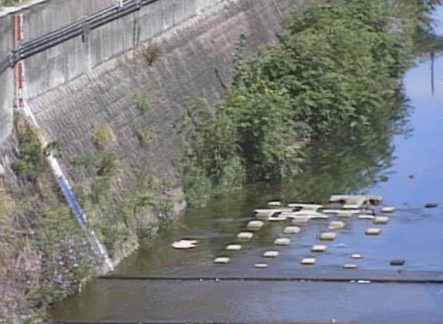 天竺川天竺川橋