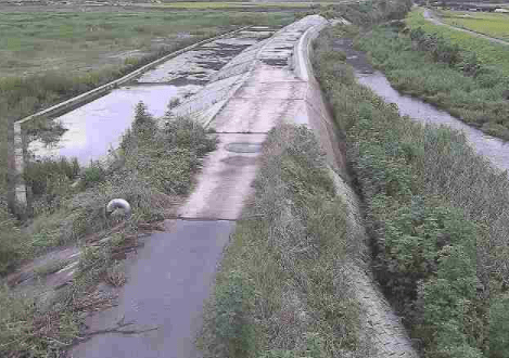 黒川手野遊水地