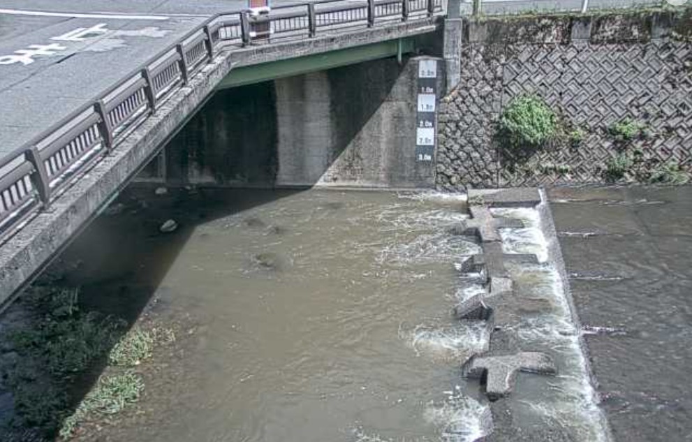 照来川飯野