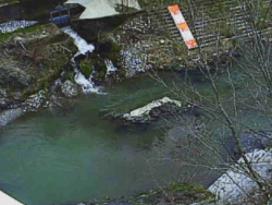 飛ノ木橋