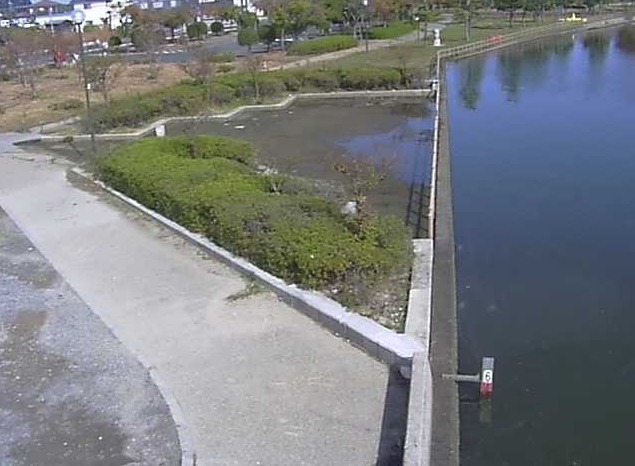 東郷池湯梨浜町上浅津