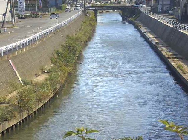 巴川安東川合流点