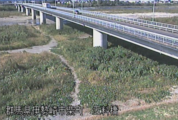 利根川左岸185.5K五料橋