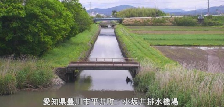 豊川放水路右岸3.0K