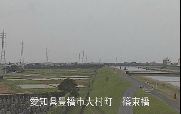 豊川放水路左岸4.6K篠束橋付近