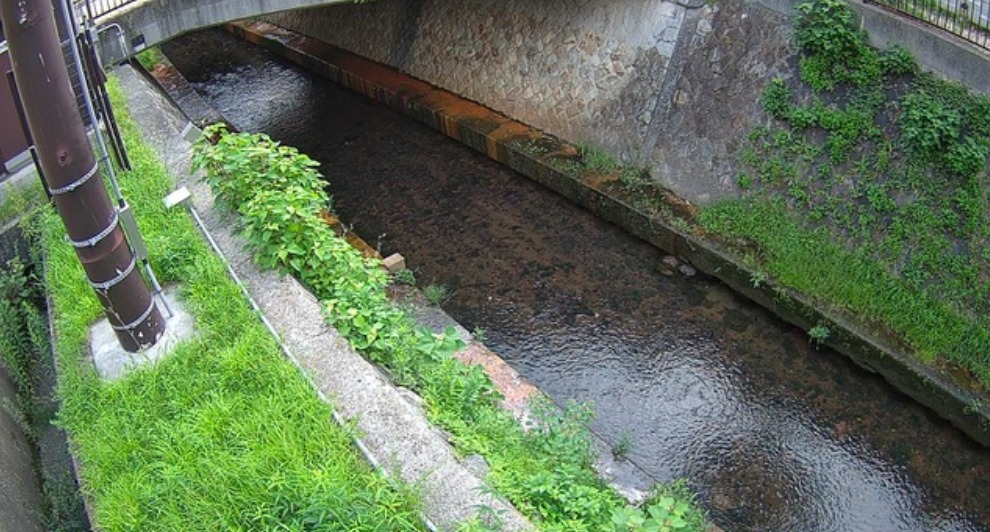 津門川水位観測所