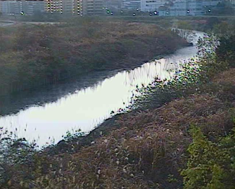 鶴見川落合橋