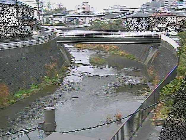 鶴見川岡上橋付近