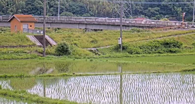 内稙田樋管胡麻鶴