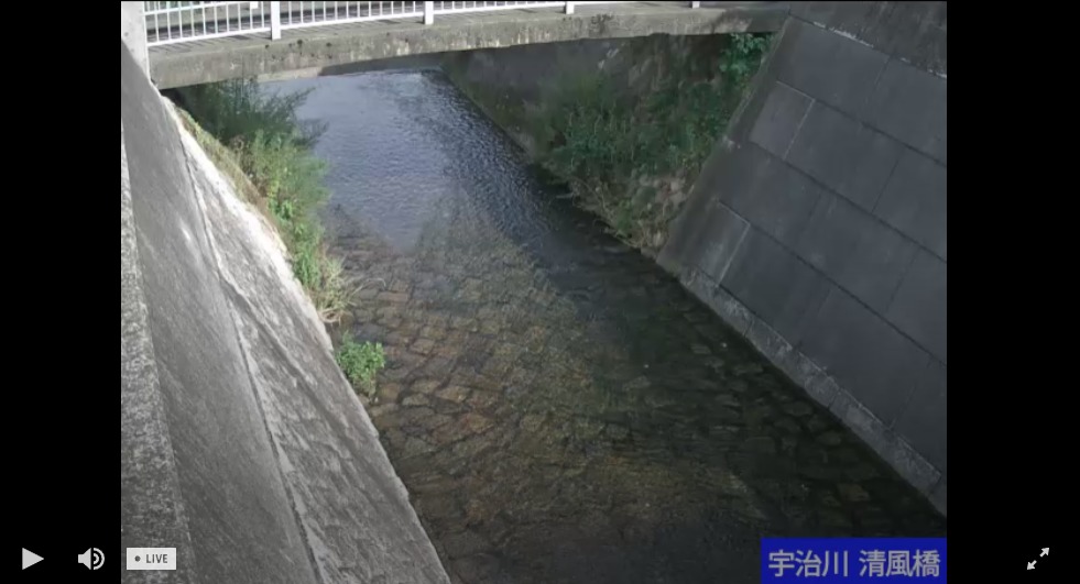 宇治川清風橋下流左岸