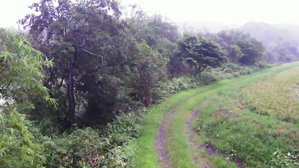 雨竜川30.2KP左岸上流