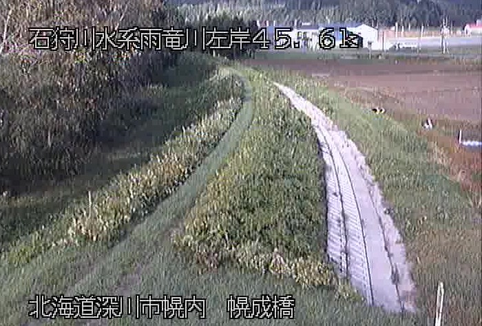 雨竜川左岸45.6K幌成橋