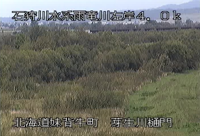 雨竜川左岸4.0K