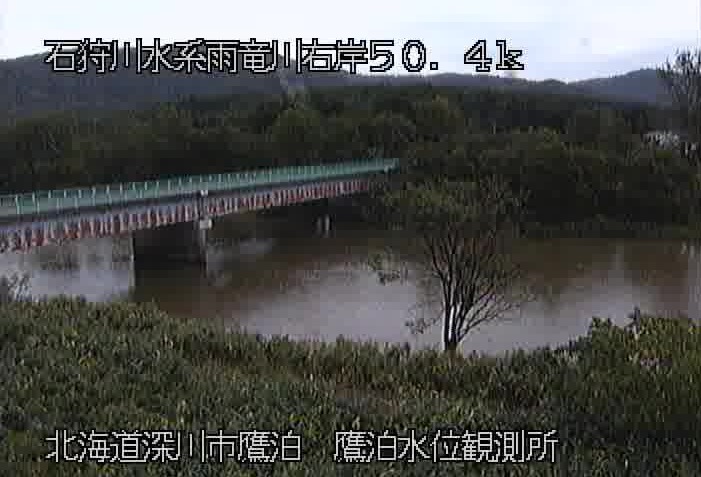 雨竜川右岸50.4K